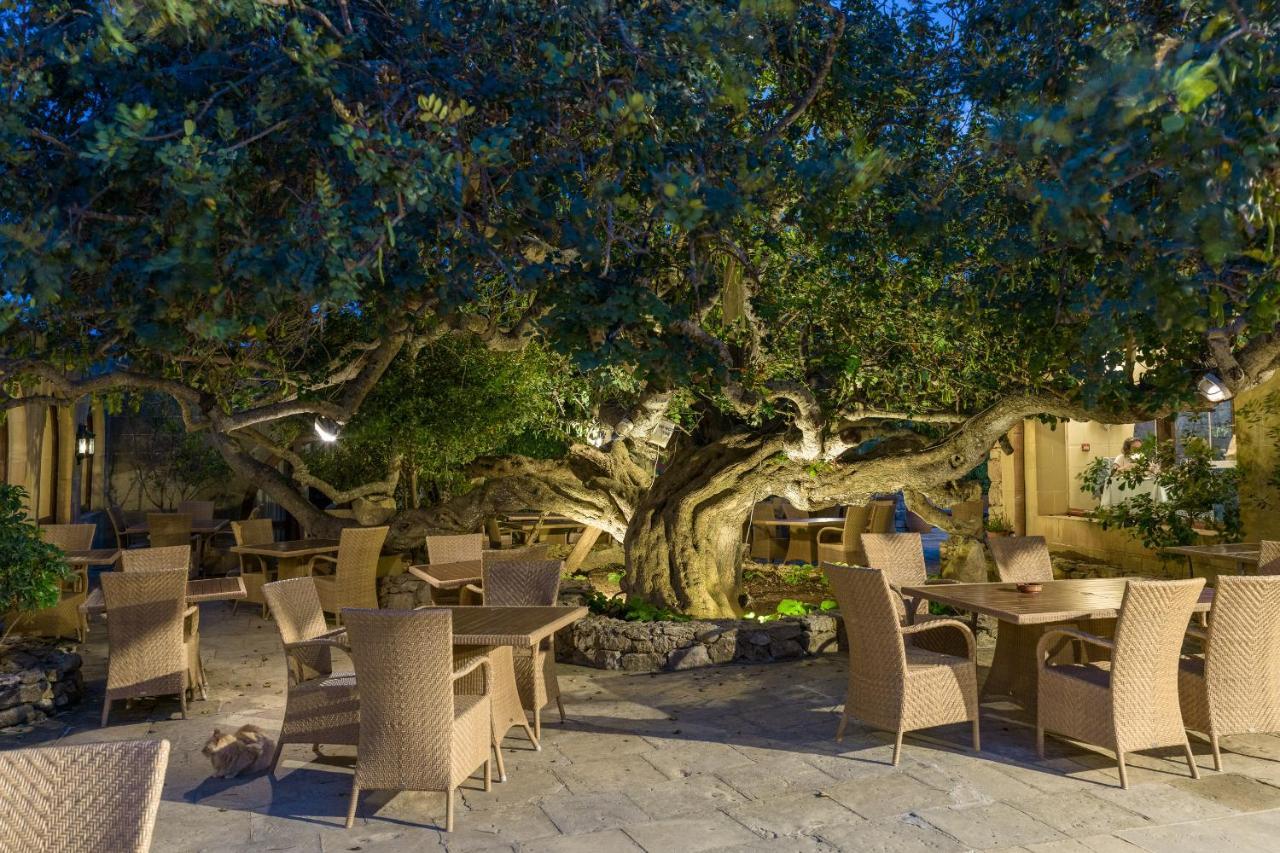 Hotel Ta' Cenc & Spa Sannat Εξωτερικό φωτογραφία The Banyan Tree at the Four Seasons Resort